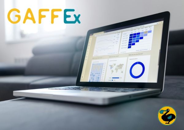 Photo : Webinaire Gaffex © lukas-blazek