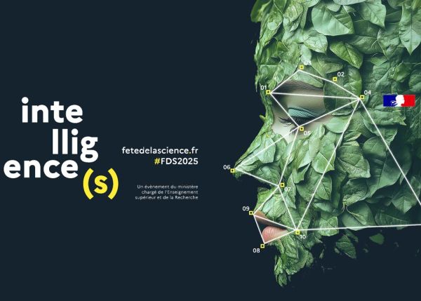 Photo : © ministère de l'enseignement supérieur et de la recherche