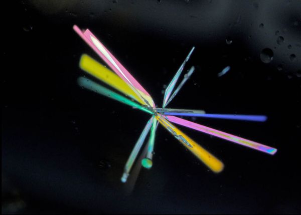 Photo : cristal - Noël Pinaud