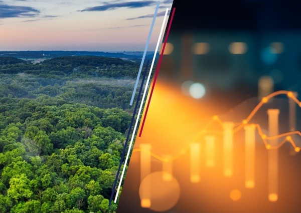 Photo : Changer le Climat ou Changer l’Économie © Canva