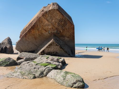 Photo : Exposition Art et Sciences , le littoral et ses mondes engloutis