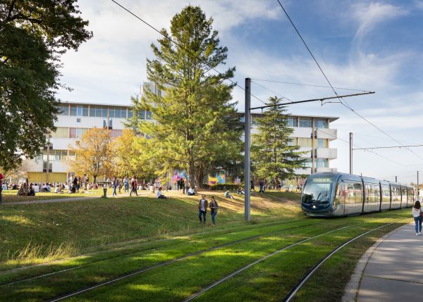 Photo : La plupart des campus sont accessibles en tramway et en bus - campus Montesquieu © Julie Bruhier