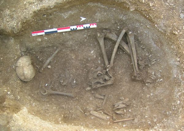 Photo : Ossements de la femme appelée GLN270A (haut de la photo, pas de résultats génétiques) avec laquelle les os longs de l'ancêtre principal GLN270B (bas de la photo) du grand arbre généalogique ont été ré-enterrés. © Stéphane Rottier - PACEA