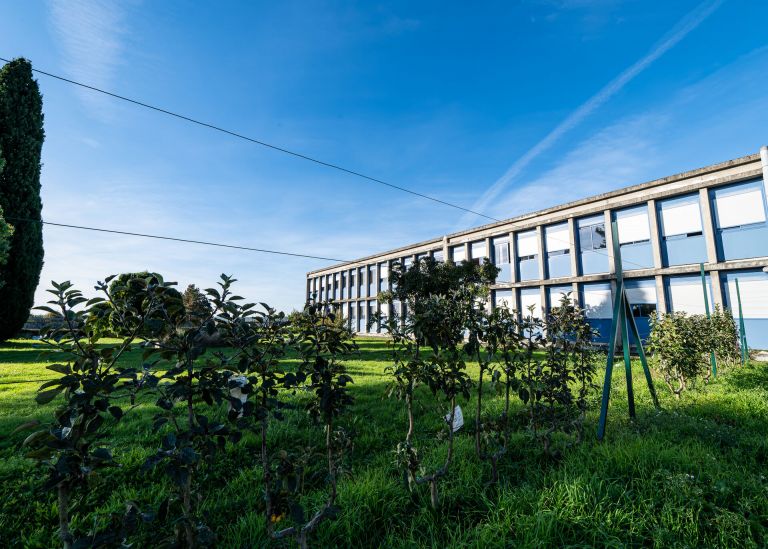 Photo : Vegetable plots and shared gardens - Campus Périgord © Gautier Dufau