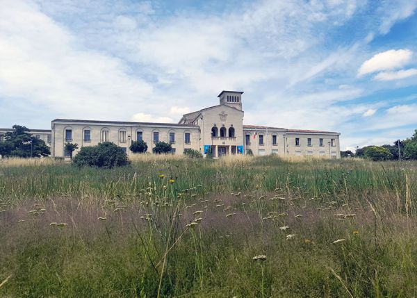 Photo : La grande prairie du Domaine du Haut-Carré © université de Bordeaux