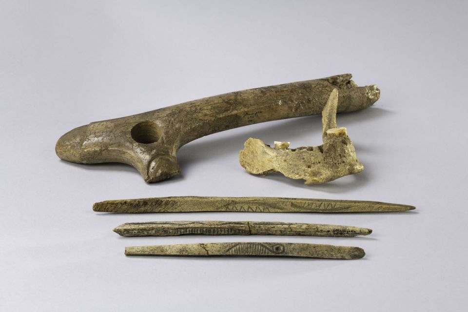 From the Maszycka cave in southern Poland: a human jaw, bones and antlers from the Magdalenian culture, which was widespread in large parts of Europe 19,000 - 14,000 years ago
© Agnieszka Susuł, Paweł Iwaszko, Dawid Piątkiewicz, Archaeological Museum Krakow