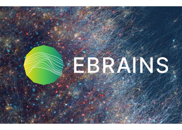 Photo : EBRAINS, une infrastructure de recherche digitale européenne 