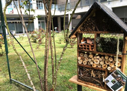 Photo Des zones refuges pour favoriser la biodiversité sur les campus universitaires © Université de Bordeaux