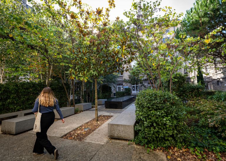 Photo : La cour Leyteire du campus Victoire abrite différentes alcôves végétalisées © Gautier Dufau