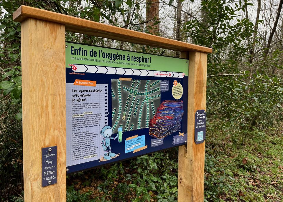 Les panneaux du Chemin du temps du bois de Thouars sont installés au fil des 1,38 km du tracé © université de Bordeaux