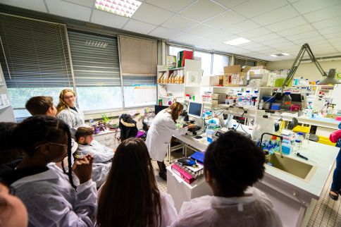 Photo Virus, à la poursuite d'ennemis invisibles- Laboratoire de microbiologie Fondamentale et Pathogénicité (MFP) © Gautier Dufau - université de Bordeaux