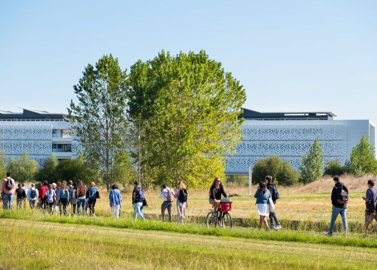 Photo : Chemin piéton bordant la ligne de tram, et reliant le campus Peixotto et Bordes © Arthur Pequin