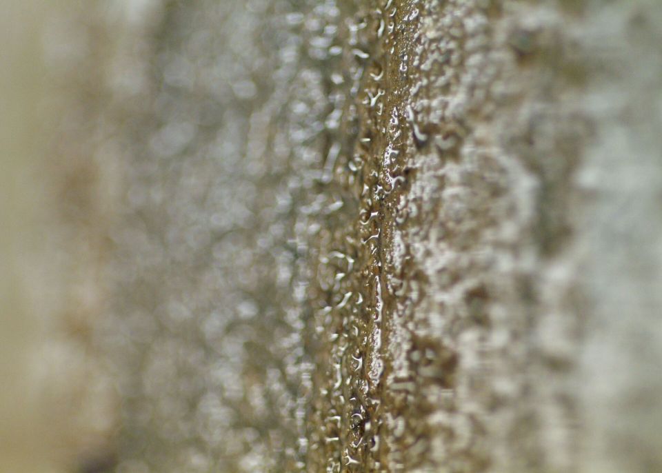 Carottage gros plan de surface © Université de Bordeaux