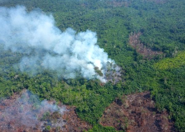 Photo : Slash-and-burn agriculture in the Equateur region of the Democratic Republic of Congo © Margaux Vinez