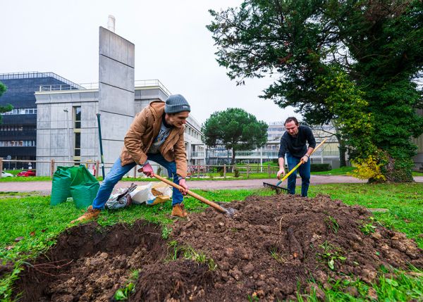 Photo : Sur le campus Carreire de Bordeaux, « débitumage » et plantation d'arbres et d'arbustes par des personnels, étudiantes et étudiants de l'université de Bordeaux dans le cadre du Living Lab Climat et biodiversité © Gautier Dufau