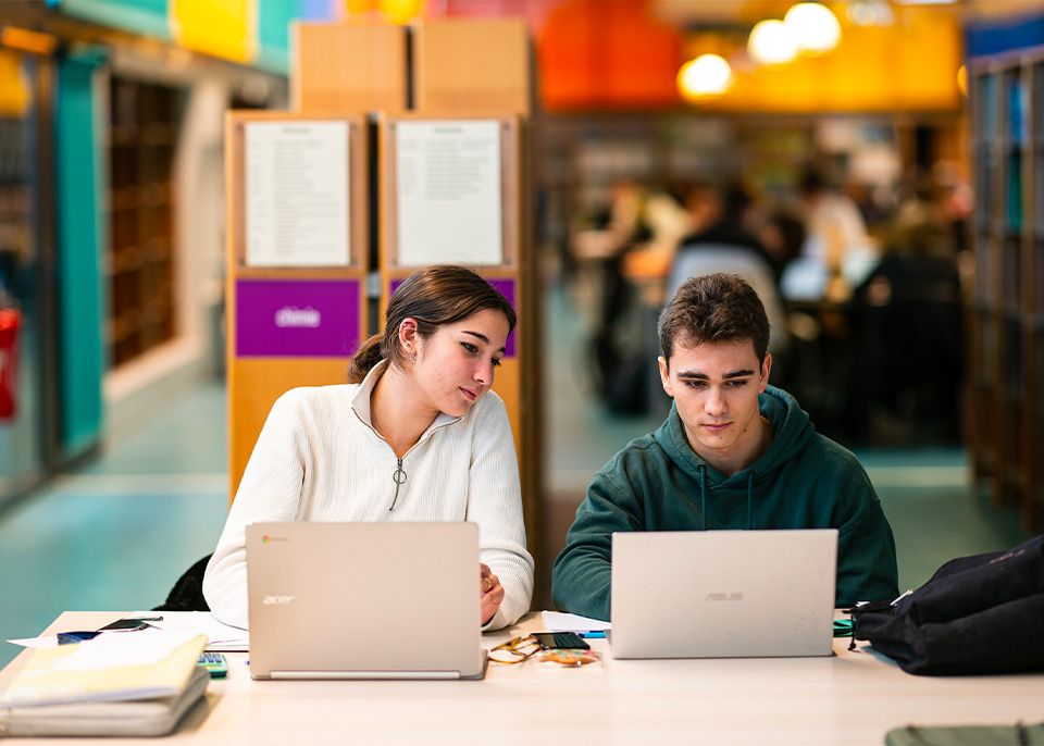 À la BU Sciences et techniques du campus Bordes à Talence © Gautier Dufau