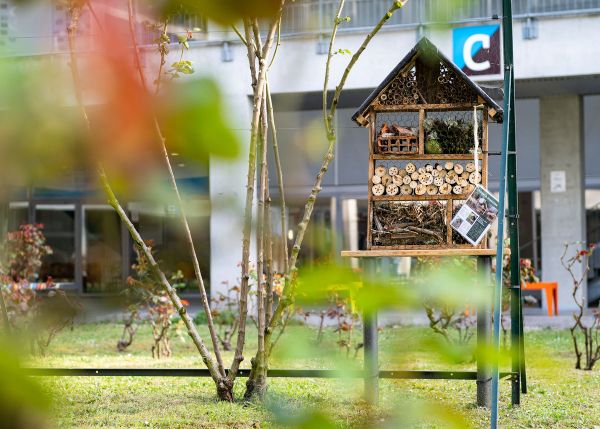 Photo : Inner courtyard on the Bastide campus © Gautier Dufau