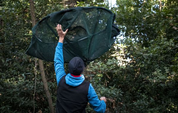 Photo : Les podcasts immersifs Chroniques de la forêt expérimentale font découvrir de nombreux métiers de la recherche © université de Bordeaux