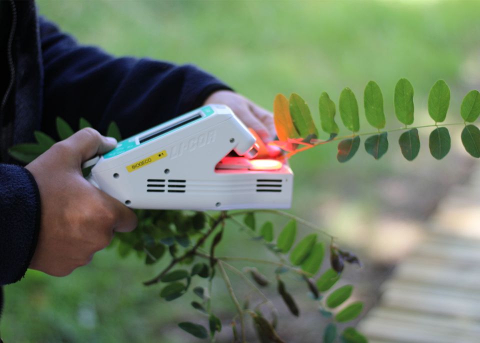 Cet appareil permet de mesurer la conductance : la facilité avec laquelle l'eau circule dans les feuilles d'un arbre © Service Culture