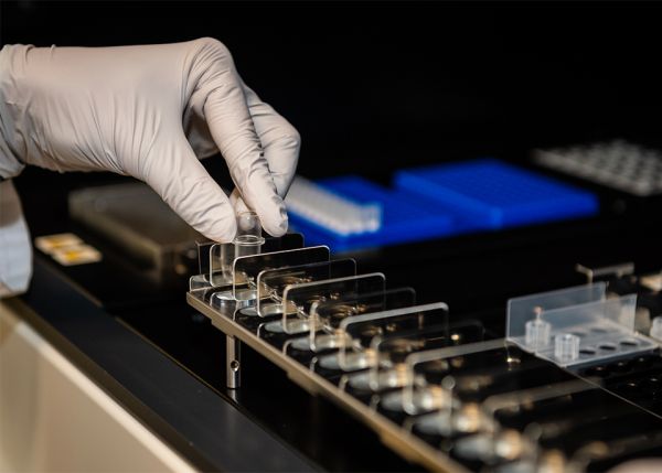 Photo : Neuf « pépites » ont été identifiées parmi les domaines porteurs d’innovation © université de Bordeaux