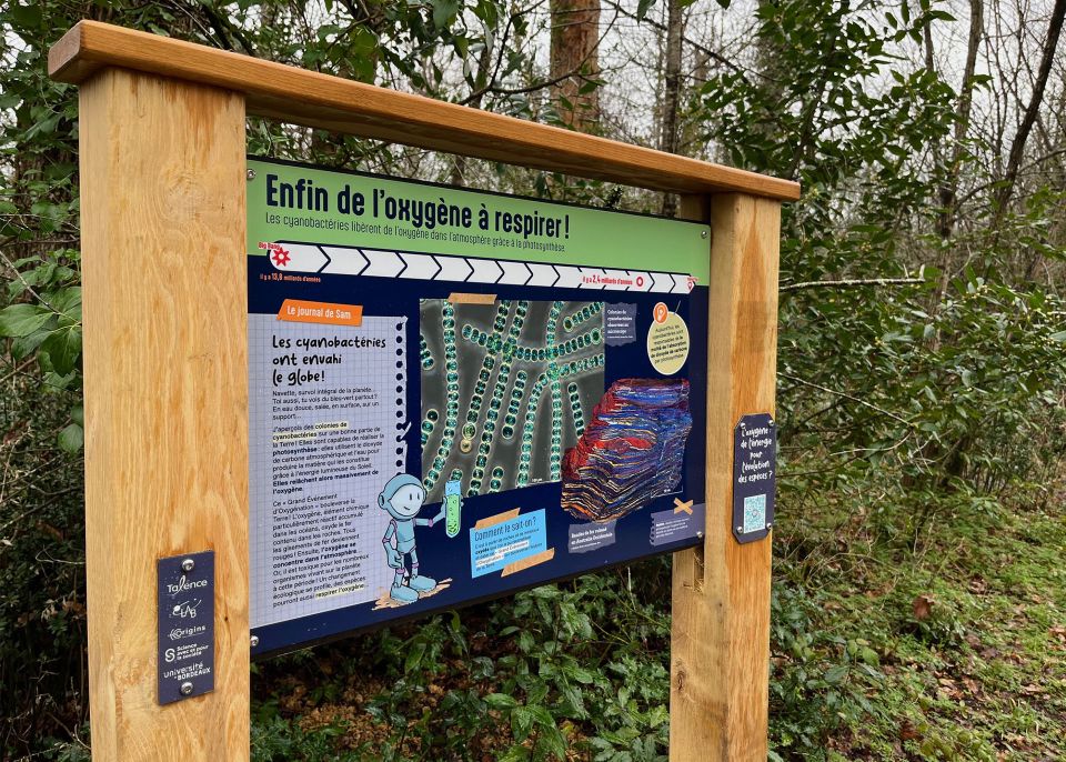 Les panneaux du Chemin du temps du bois de Thouars sont installés au fil des 1,38 km du tracé © université de Bordeaux
