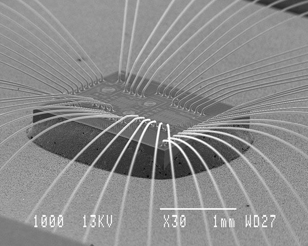 Integrated circuit connected to the outside world by gold wires (wire bonding) © IMS.