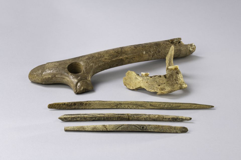 From the Maszycka cave in southern Poland: a human jaw, bones and antlers from the Magdalenian culture, which was widespread in large parts of Europe 19,000 - 14,000 years ago
© Agnieszka Susuł, Paweł Iwaszko, Dawid Piątkiewicz, Archaeological Museum Krakow