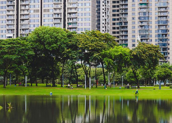 Photo : Les espaces verts ont un effet bénéfique plus important chez les personnes défavorisées © DL314 Lin unsplash