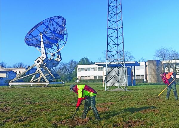 Photo : The planting of maritime pines took place on 13th and 14th February 2023 © université de Bordeaux