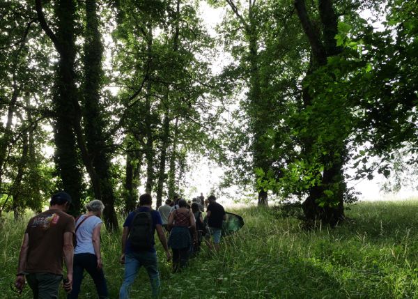 Photo : Le grand public est invité tout au long de l'année à participer aux évènements de médiation scientifique, souvent tournés vers les enjeux de transitions environnementales et sociétales © université de Bordeaux