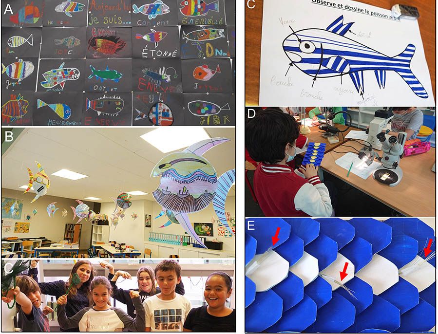 Les ateliers avec les enfants en classe, ils nous dessinent sous toutes les coutures ! © Association ZebraCool