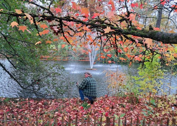 Photo : L'enseignant-chercheur Jörg Schäfer « au chevet » du bassin du jardin botanique, à Talence © université de Bordeaux