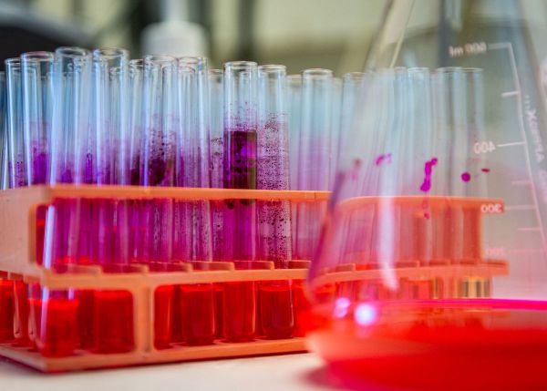 Photo : Matériel de laboratoire © Gautier DUFAU