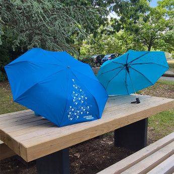 Photo Parapluie pliant - Coloris disponibles : Turquoise ou bleu - Fabriqué en Europe - PU TTC : 24,00 €