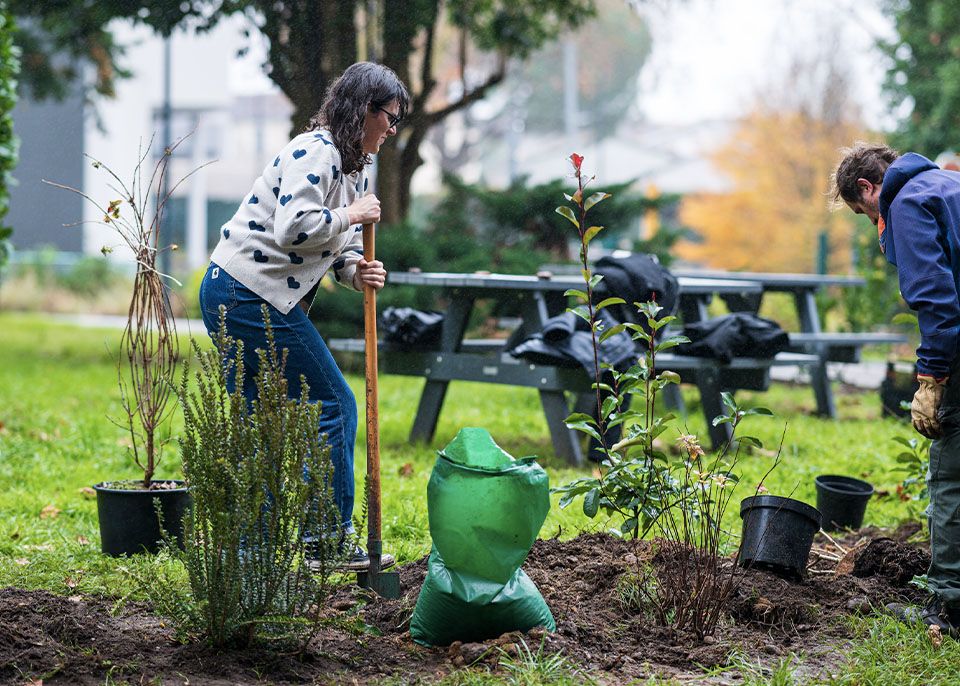 Plantation d'arbres sur le campus Carreire à Bordeaux en décembre 2024, sous l'impulsion de l'Institut des transitions de l'université conseillé par Annabel Porté pour le choix des essences © Gautier Dufau