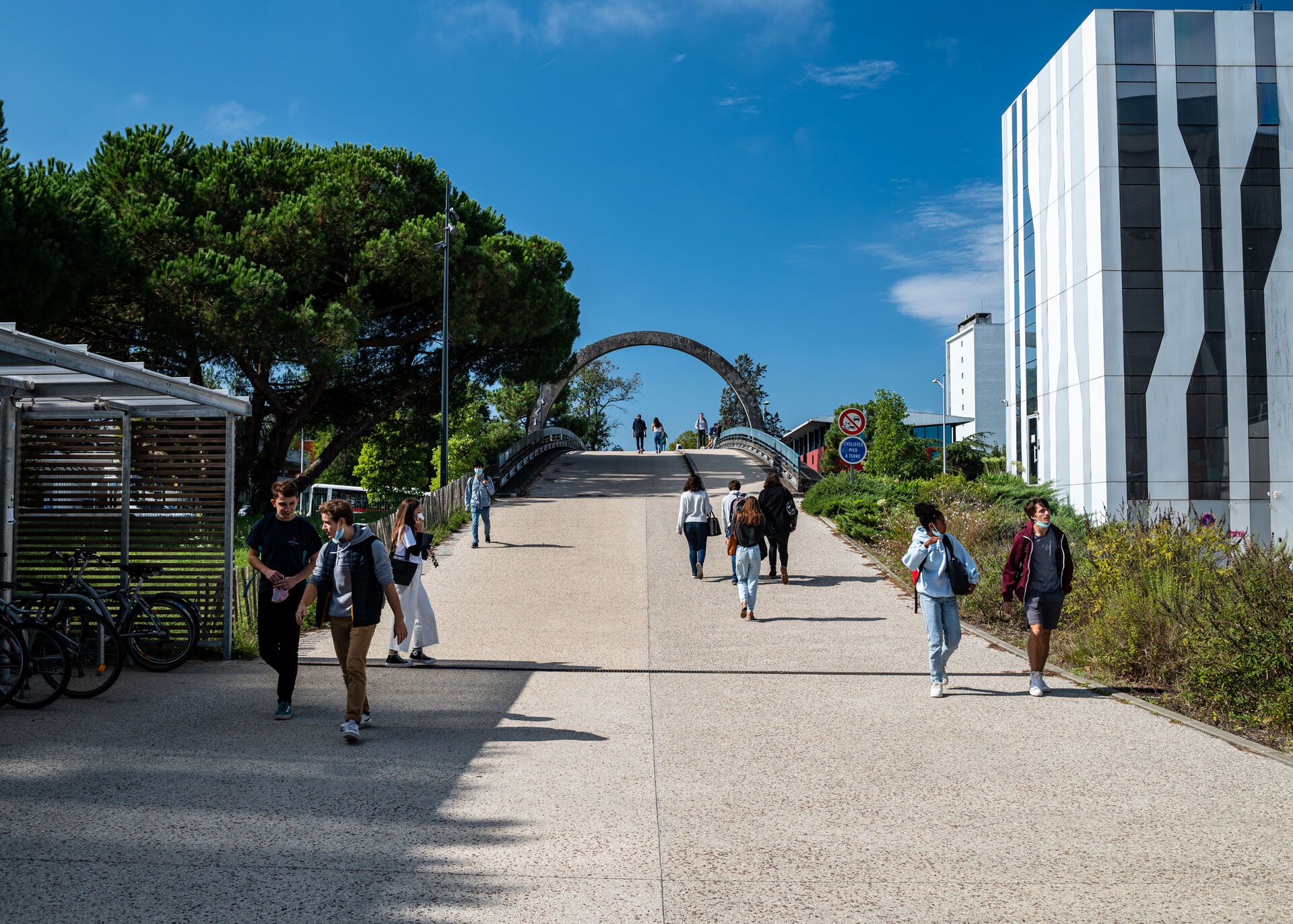 Collège sciences et technologies - Université de Bordeaux