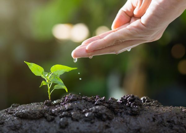 Photo : © Thatphichai Yodsri / IStock