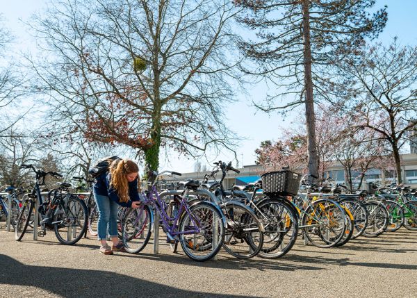 Photo : To commute to the campus (the Talence, Pessac and Gradignan sites) 24% of staff and 6% of students choose to cycle © University of Bordeaux