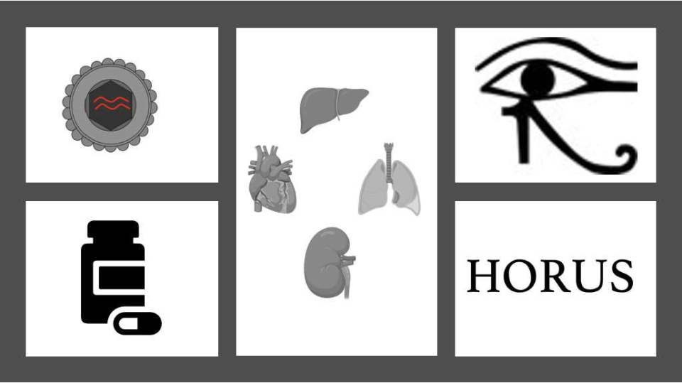 Visuel du projet européen Horus