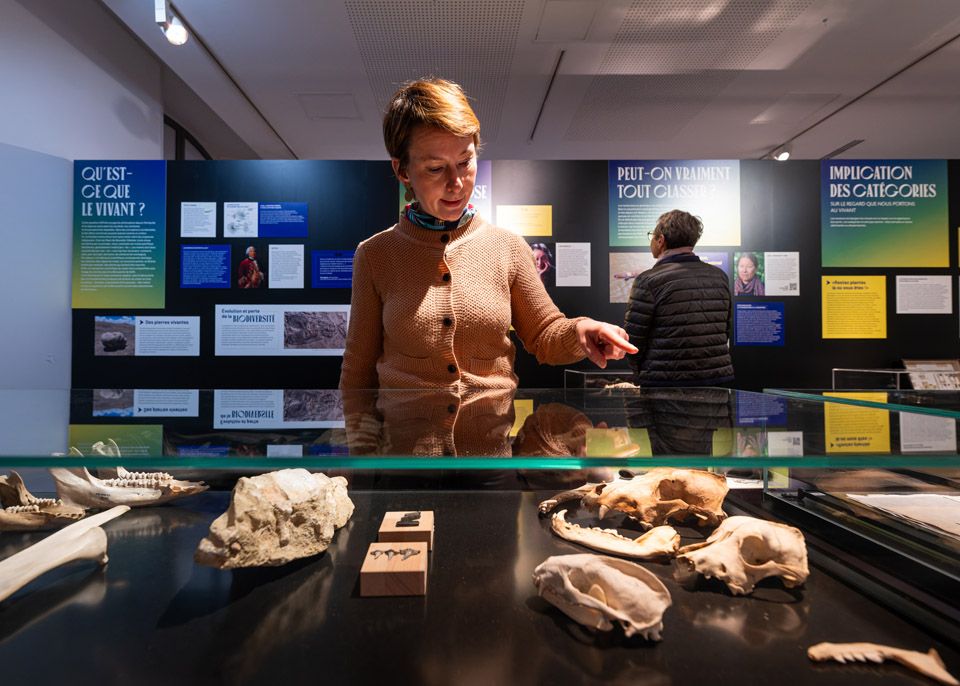 L'exposition est organisée en 4 modules : désigner, classer, transmettre un message et changer de nom @ Gautier Dufau 